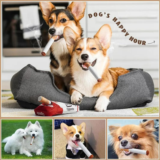 How a Funny Dog Toy Turned My Dog Into the Star of the Block